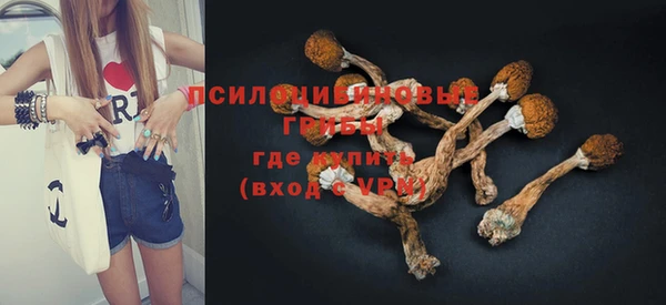 круглые Бронницы
