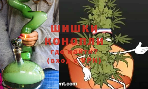 бошки Богданович