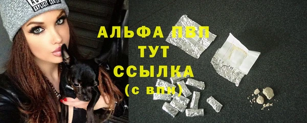 ПСИЛОЦИБИНОВЫЕ ГРИБЫ Белокуриха