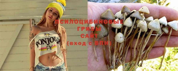 эйфоретик Богородицк