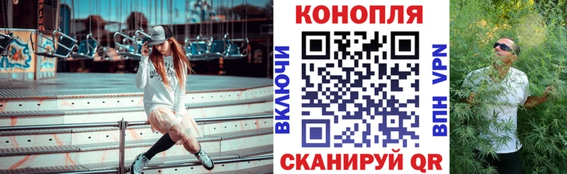Конопля THC 21%  mega маркетплейс  Гремячинск  сколько стоит 